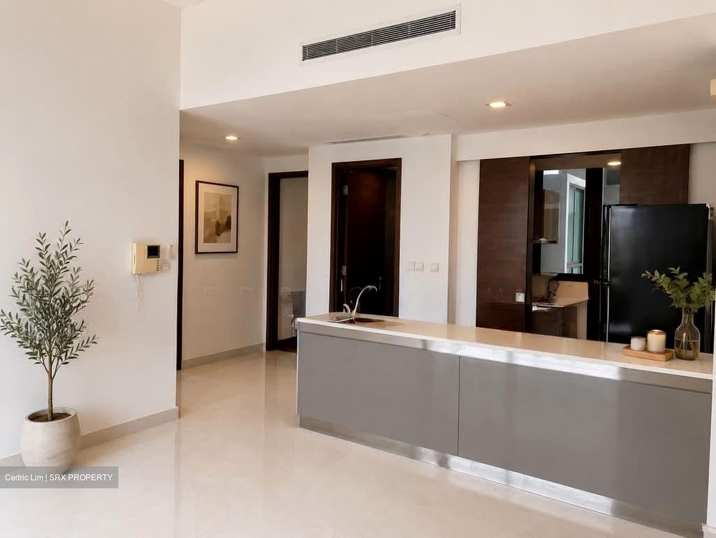 The Suites At Central (D9), Condominium #570000331